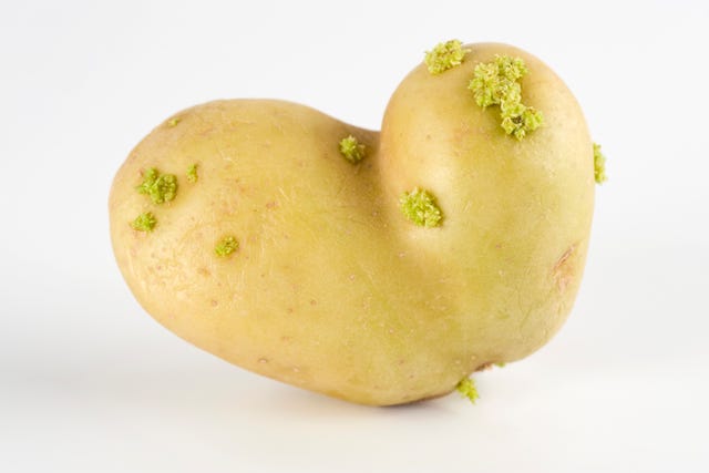Is It Safe To Eat Sprouted Potatoes?