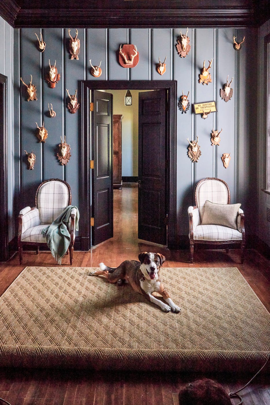 entryway with gray walls and black trim