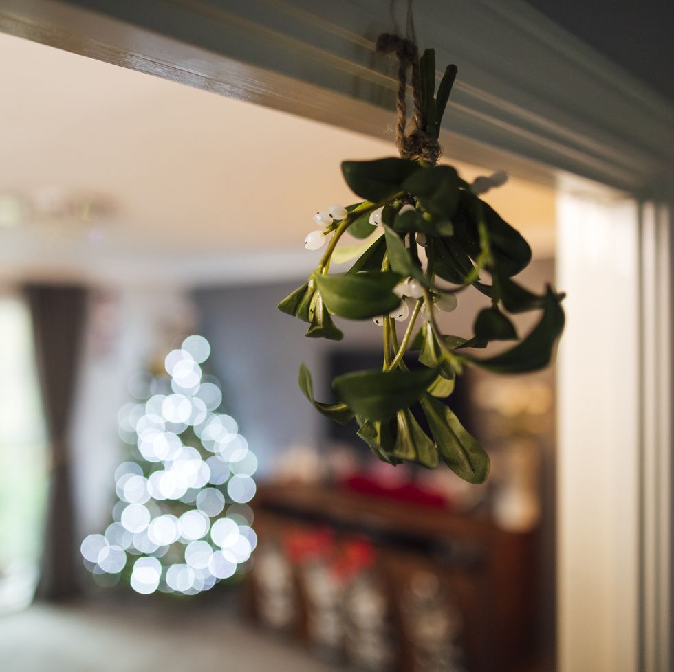 a close up of mistletoe hanging up on a door frame in a house the christmas tree is lit up in the background, out of focus