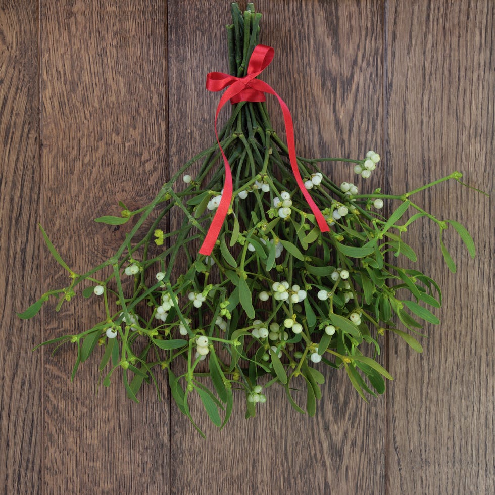 christmas symbol - Mistletoe