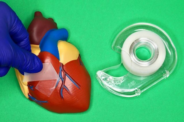 an illustration showing a model of a heart with tape on it