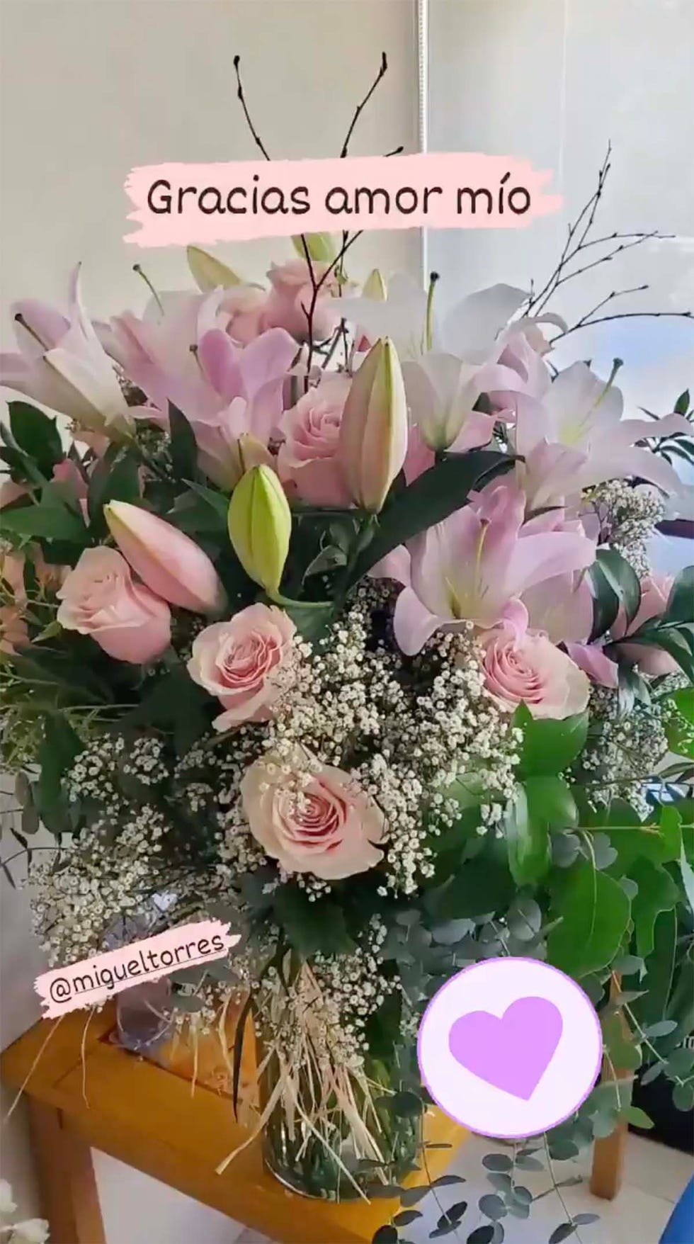 miguel torres regalo paula