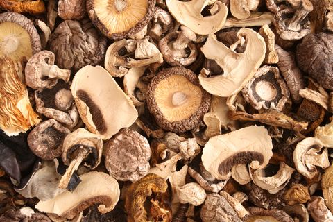 mixed dried mushrooms