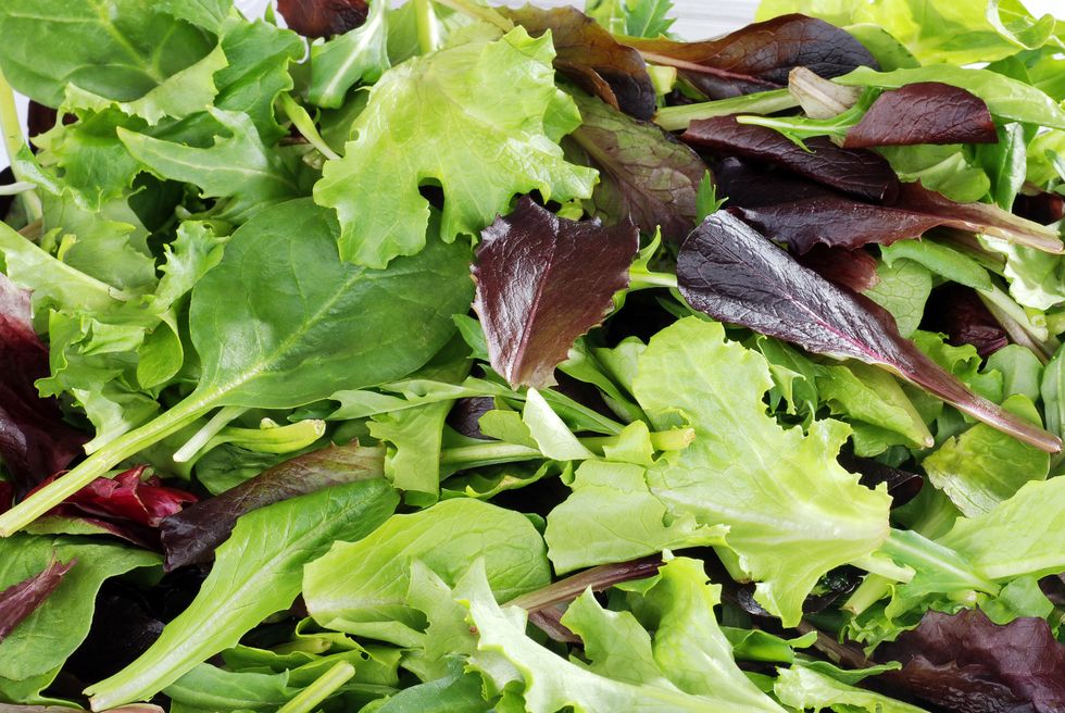 Mixed greens lettuce background