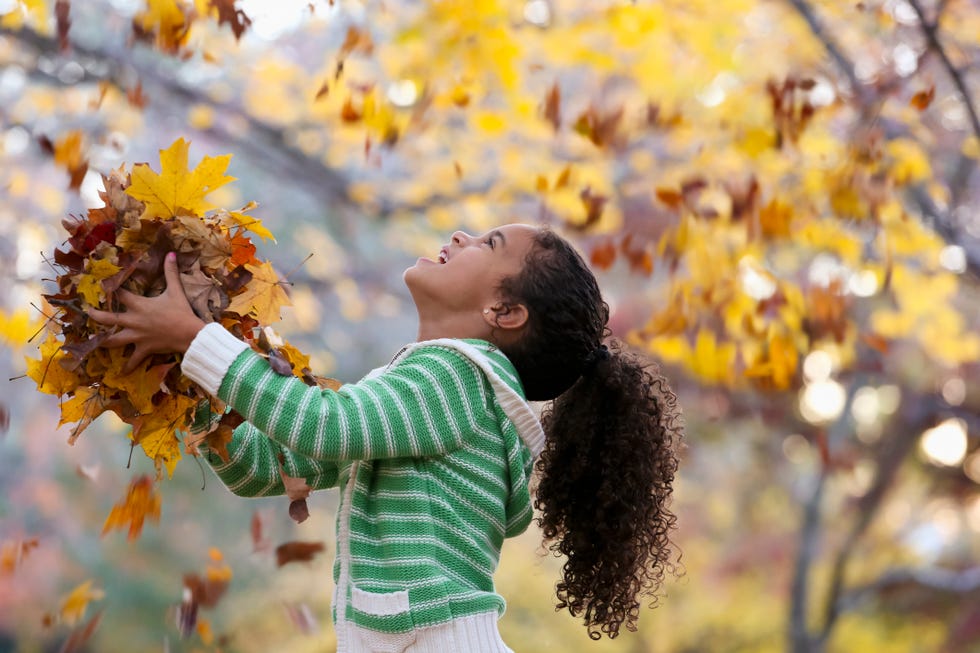 Mixed race girl playing in autumn leaves Mixed race girl playing in autumn leaves