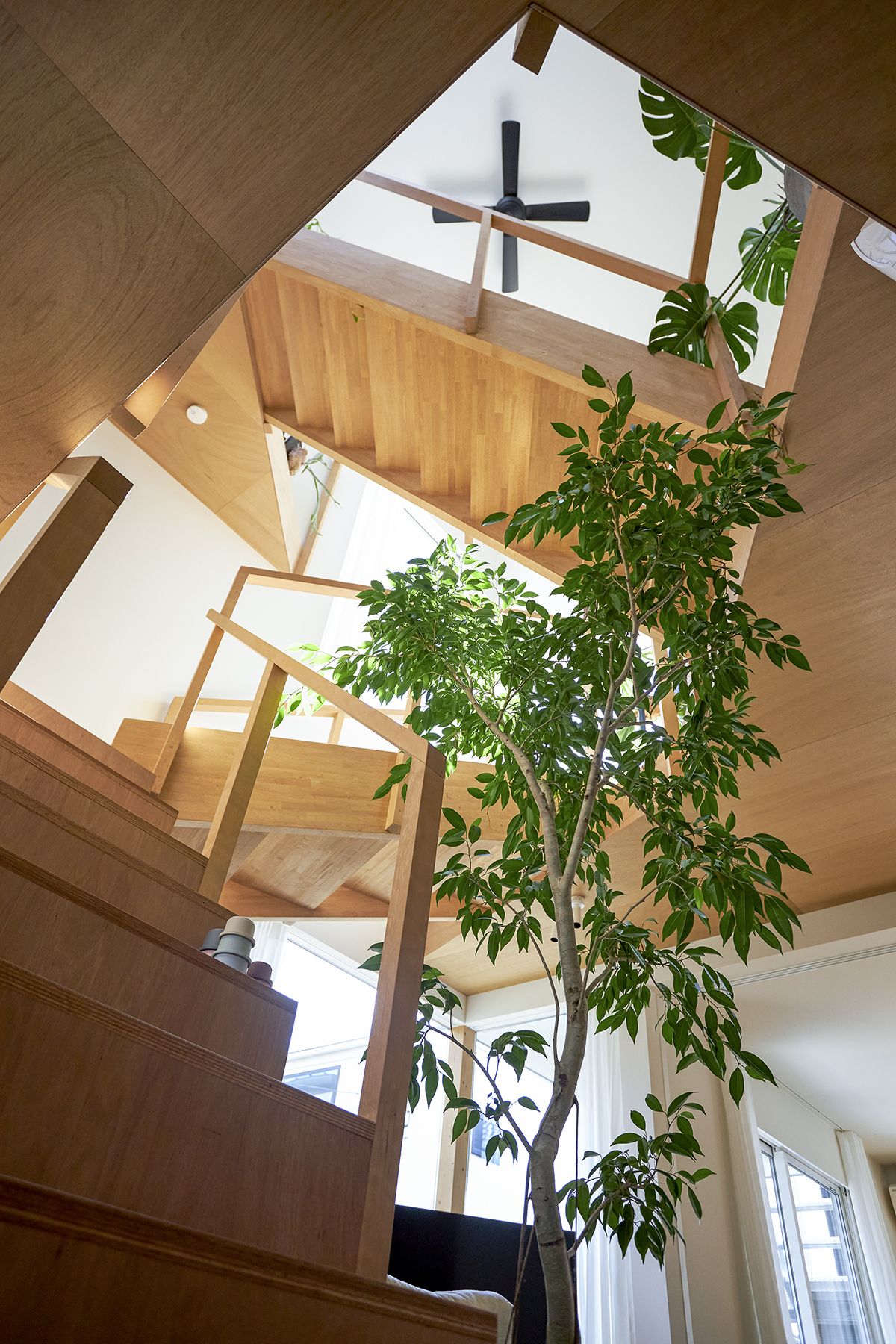 【驚きの値段】 最注目の若手建築家・佐々木慧の最新住宅と設計哲学。飛躍の理由 その他