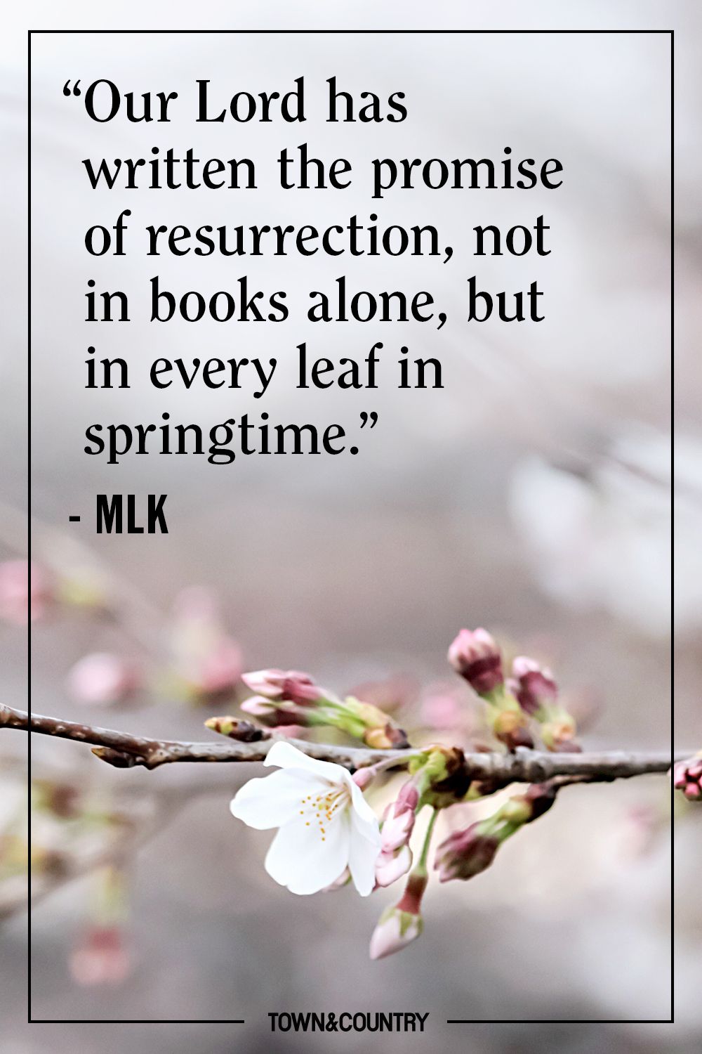 32 Best Easter Quotes - Inspiring Easter Sayings for the 2023 Holiday