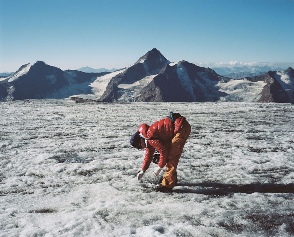 Andrea Fischer verzamelt de plukjes haar die in de directe omgeving van de gems op het gletsjerijs lagen Ze heeft daar ook enkele oeroude stukjes hout en leer gevonden