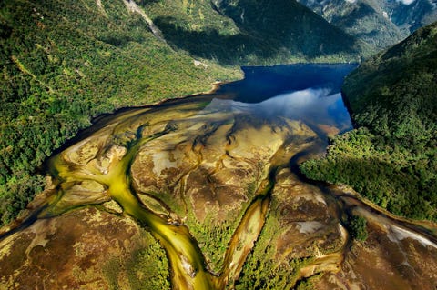 Op het eerste gezicht is Fiordland een dichtbegroeid landschap dat met zijn ruige bergen en kalme fjorden niet zou misstaan in de Lord of the Ringsfilms En onder water beland je in buitenaardse werelden zegt fotograaf Brian Skerry De rivieren die hier in zee uitmonden zijn verkleurd door de tannine en creren een permanente donkere laag zoetwater boven op het zeewater waardoor het meeste zonlicht wordt geblokkeerd en het water eronder niet bereikt Als je hier rondzwemt voelt het alsof je door de bladzijden van een jongensboek bladert en vind je op elke duik prachtige wezens en betoverde landschappen Lees ook NieuwZeeland heeft het coronavirus vrijwel uitgeroeid Dit is wat ze hebben gedaan