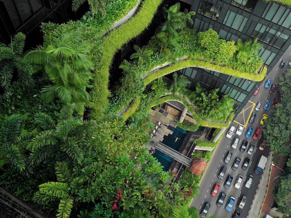 In het balkonzwembad van een luxehotel in Singapore  de metropool die een stad in een tuin wil zijn  geniet een gast en ook de mensen beneden op straat van een waterval van groen Een betonnen jungle is funest voor de menselijke geest zei premier Lee Kuan Yew eens