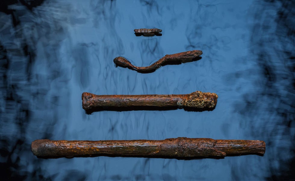 Maritieme archeologen hebben nagels spijkers en bouten gevonden die gebruikt zijn om de balken en planken van het schip vast te zetten Dergelijke bevestigingsmiddelen van handgesmeed ijzer waren gebruikelijk in schoeners die in het midden van de negentiende eeuw in Mobile werden gebouwd