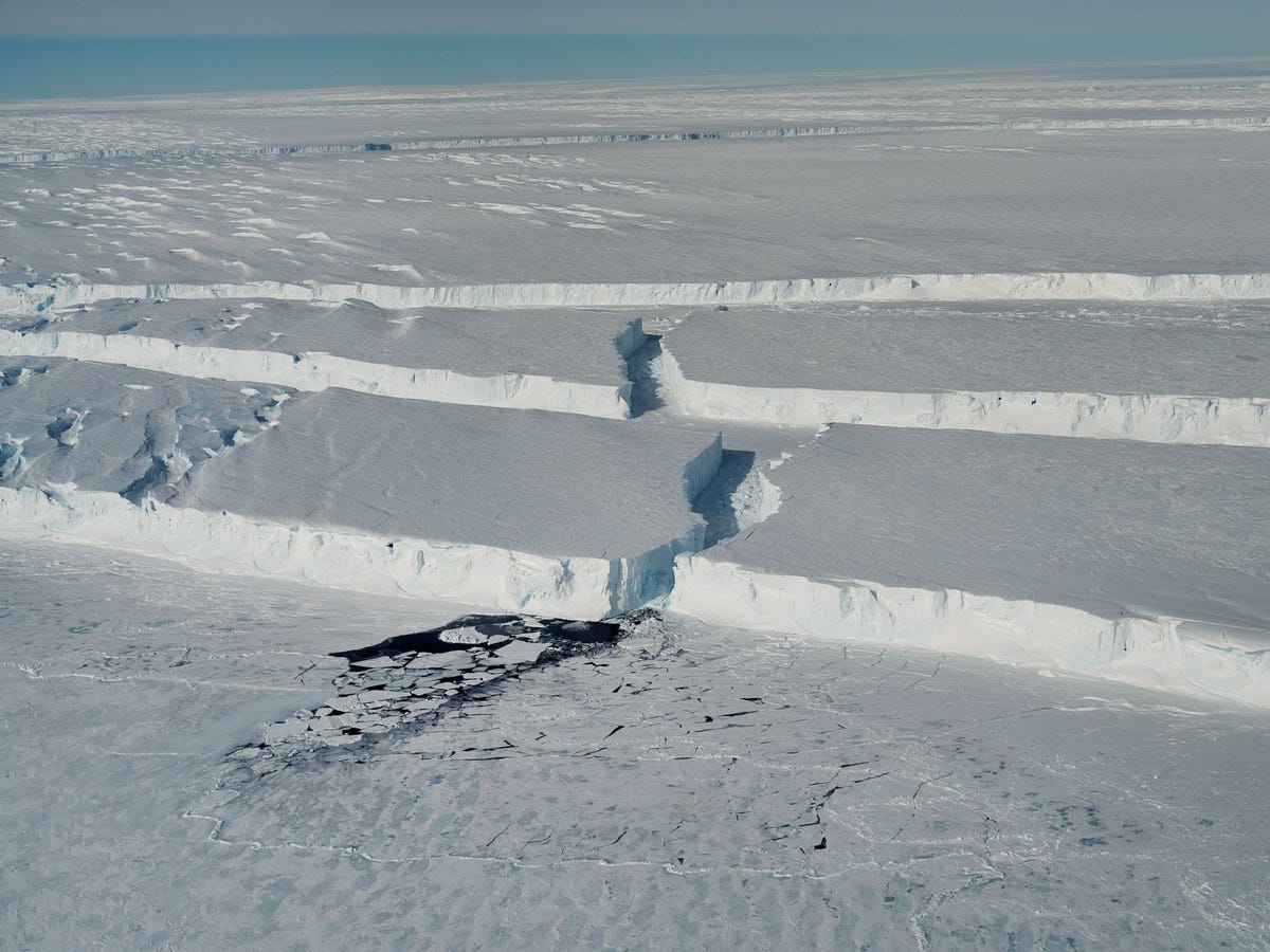 Diepe ijskloven markeren de plek waar de nieuwe ijsberg B46 van het dikke drijvende ijsplateau aan de voet van de Pine Islandgletsjer in WestAntarctica is afgebroken Op de voorgrond drijven in stukken gebroken ijsschollen op het donkere wateroppervlak van de Amundsenzee
