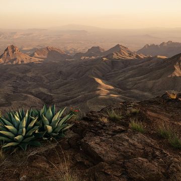 De South Rim Trail van Big Bend Texas VS met uitzicht op de Chihuahuanwoestijn in het noorden van Mexico
