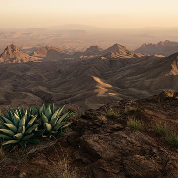 De mooiste reizen voor 2023 De South Rim Trail van Big Bend Texas VS met uitzicht op de Chihuahuanwoestijn in het noorden van Mexico