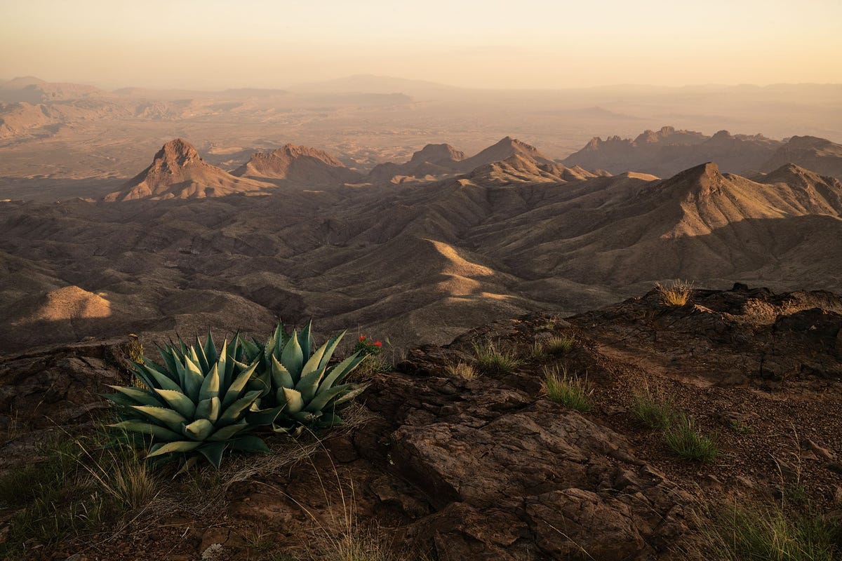 De South Rim Trail van Big Bend Texas VS met uitzicht op de Chihuahuanwoestijn in het noorden van Mexico