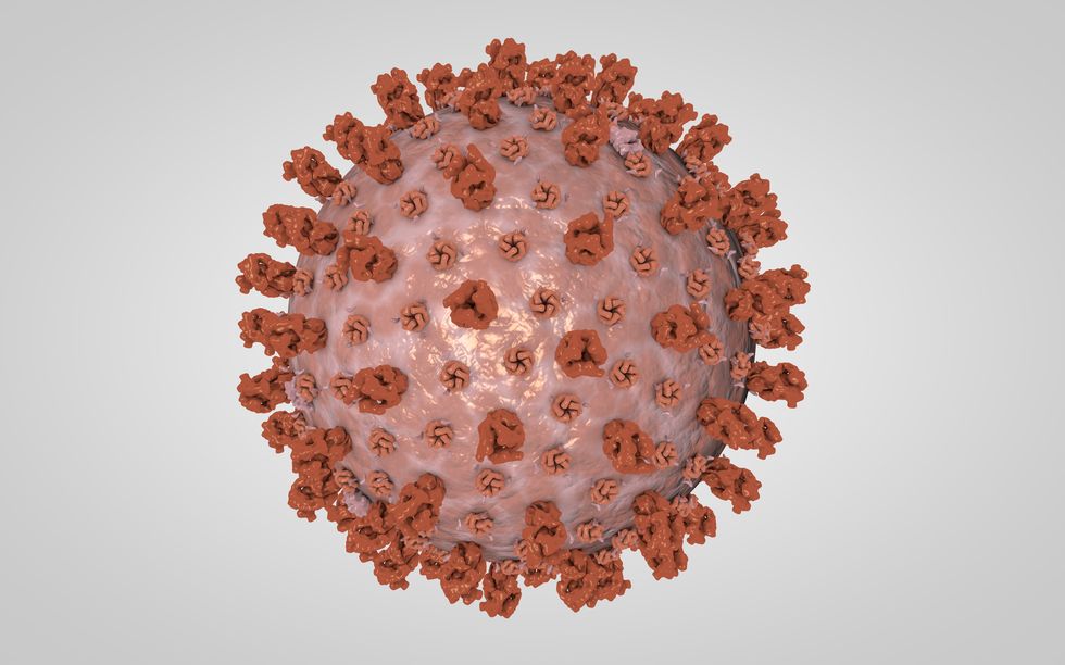 3D model of COVIP-19 Coronavirus