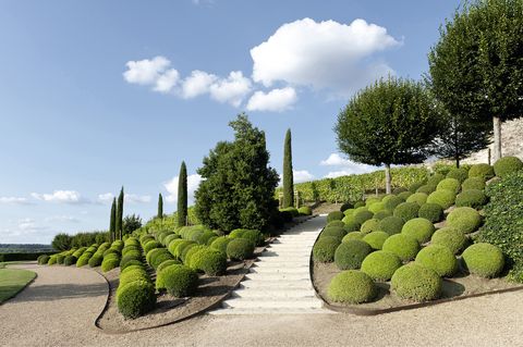 castle garden of amboise