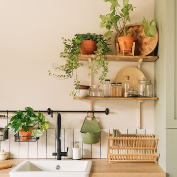 modern dining room with monstera plant, carpet and kitchen cart
