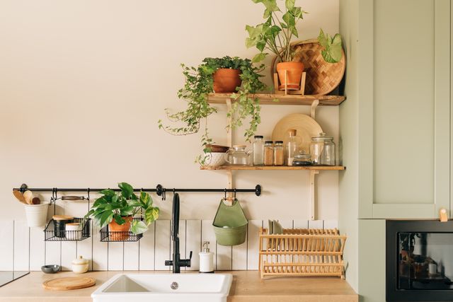 modern dining room with monstera plant, carpet and kitchen cart