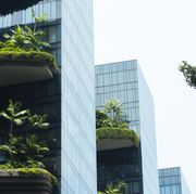 modern green building with innovative high rise garden