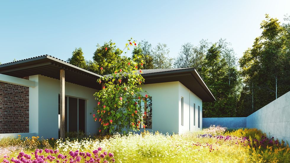 modern house with overgrown garden full of wildflowers