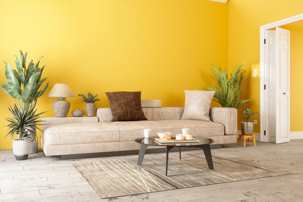 9 Best Paint Colors for Living Rooms in 2023 — Living Room Colors Photos