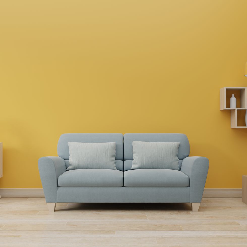 modern living room interior with sofa