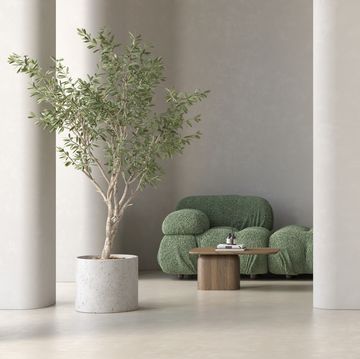 teddy bank in minimalistisch interieur met plant
