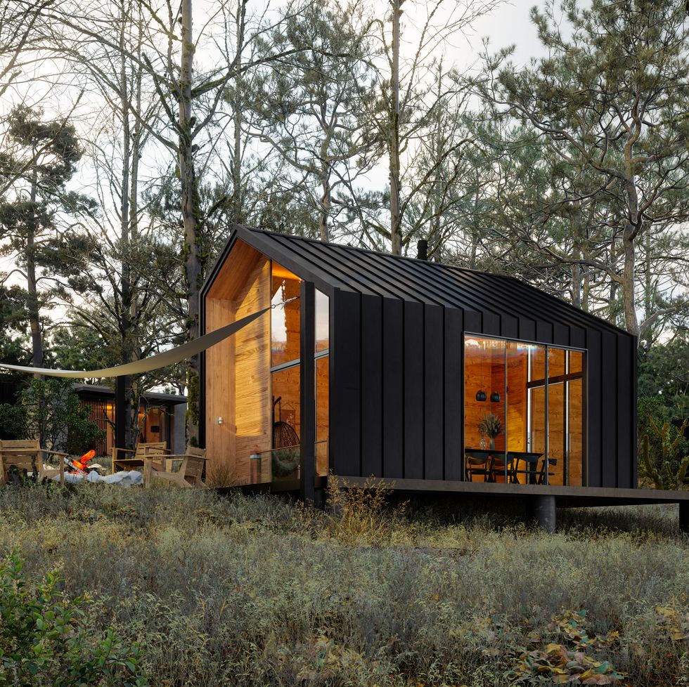 modern tiny house in woodland