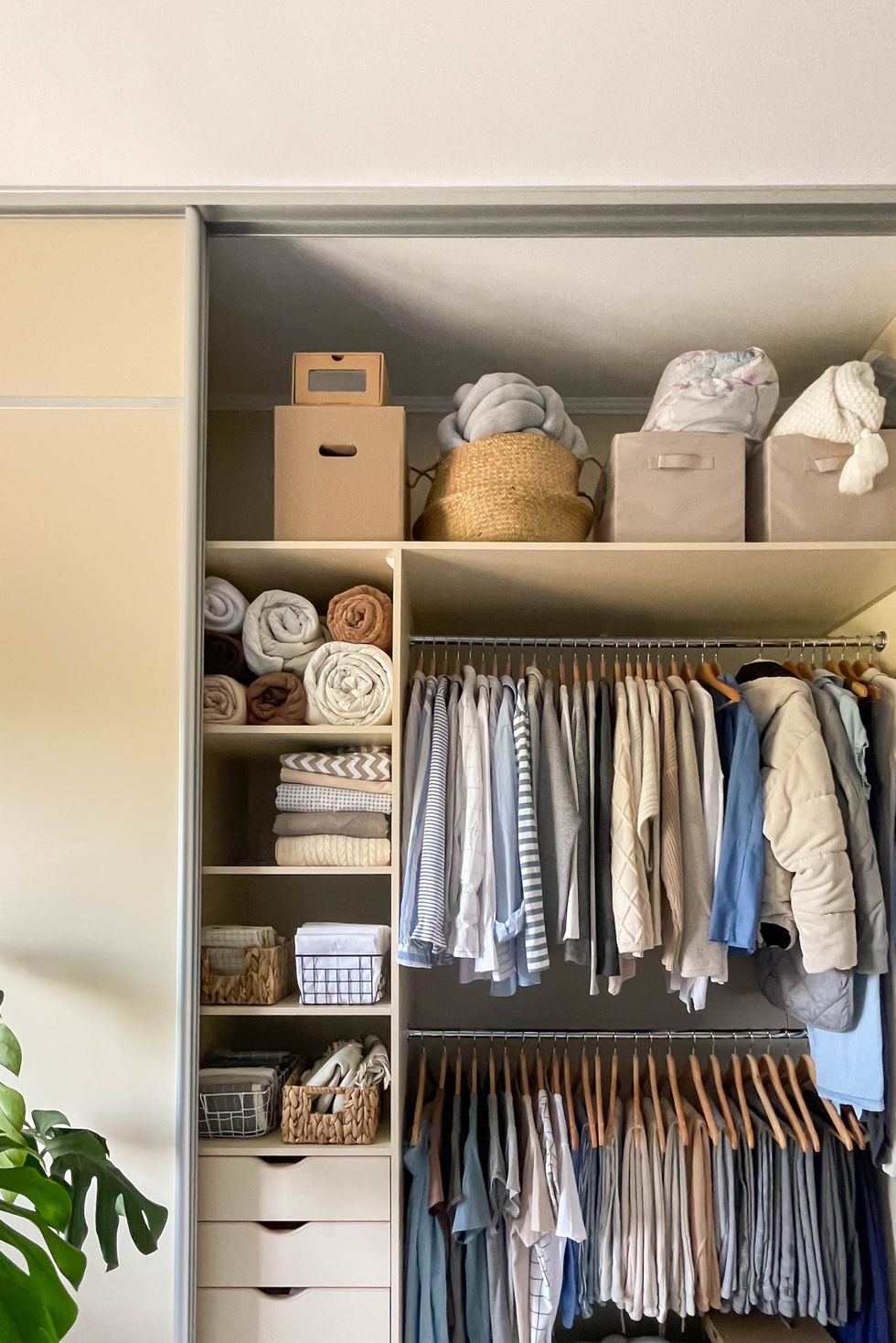 modern wardrobe with stylish women's clothing. concept of decluttering, organizing and tidiness