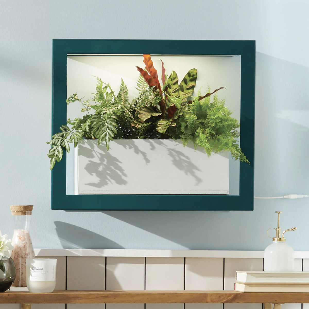modern sprout grow frame
