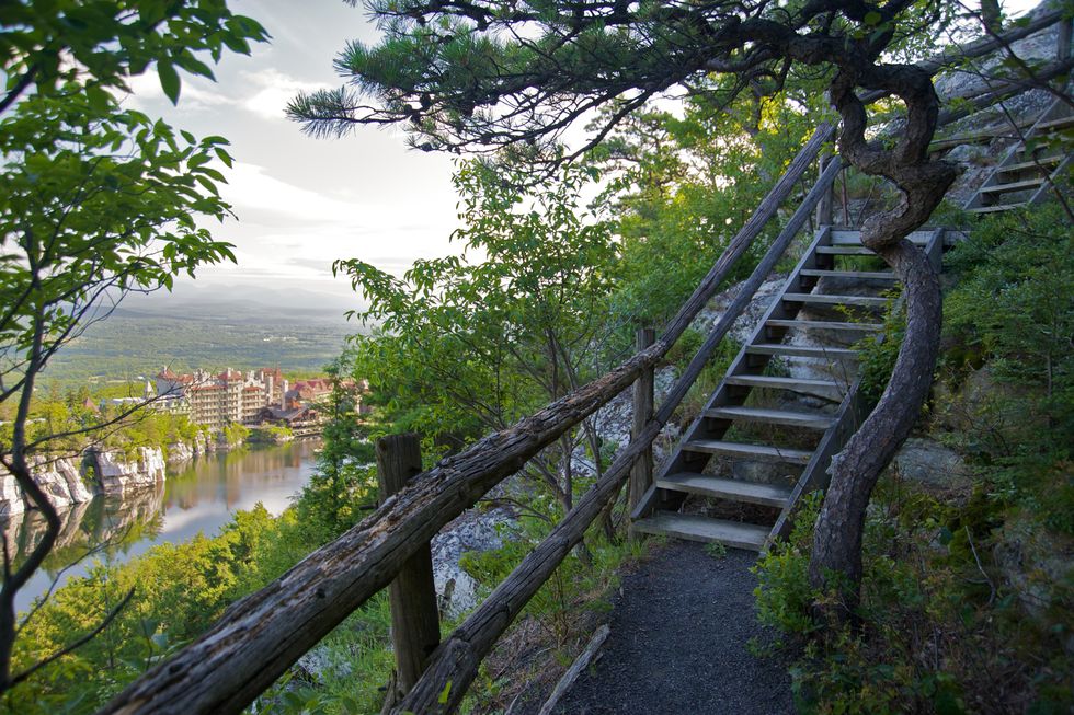 Mohonk Mountain House, New York - forest bathing