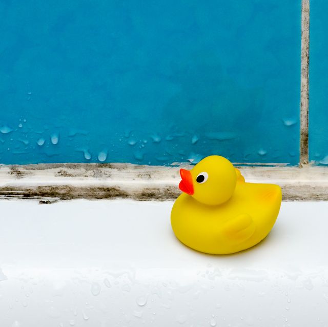 mold in bath, a duck toy, bathroom