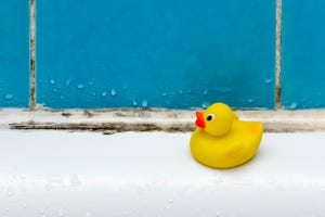 mold in bath, a duck toy, bathroom