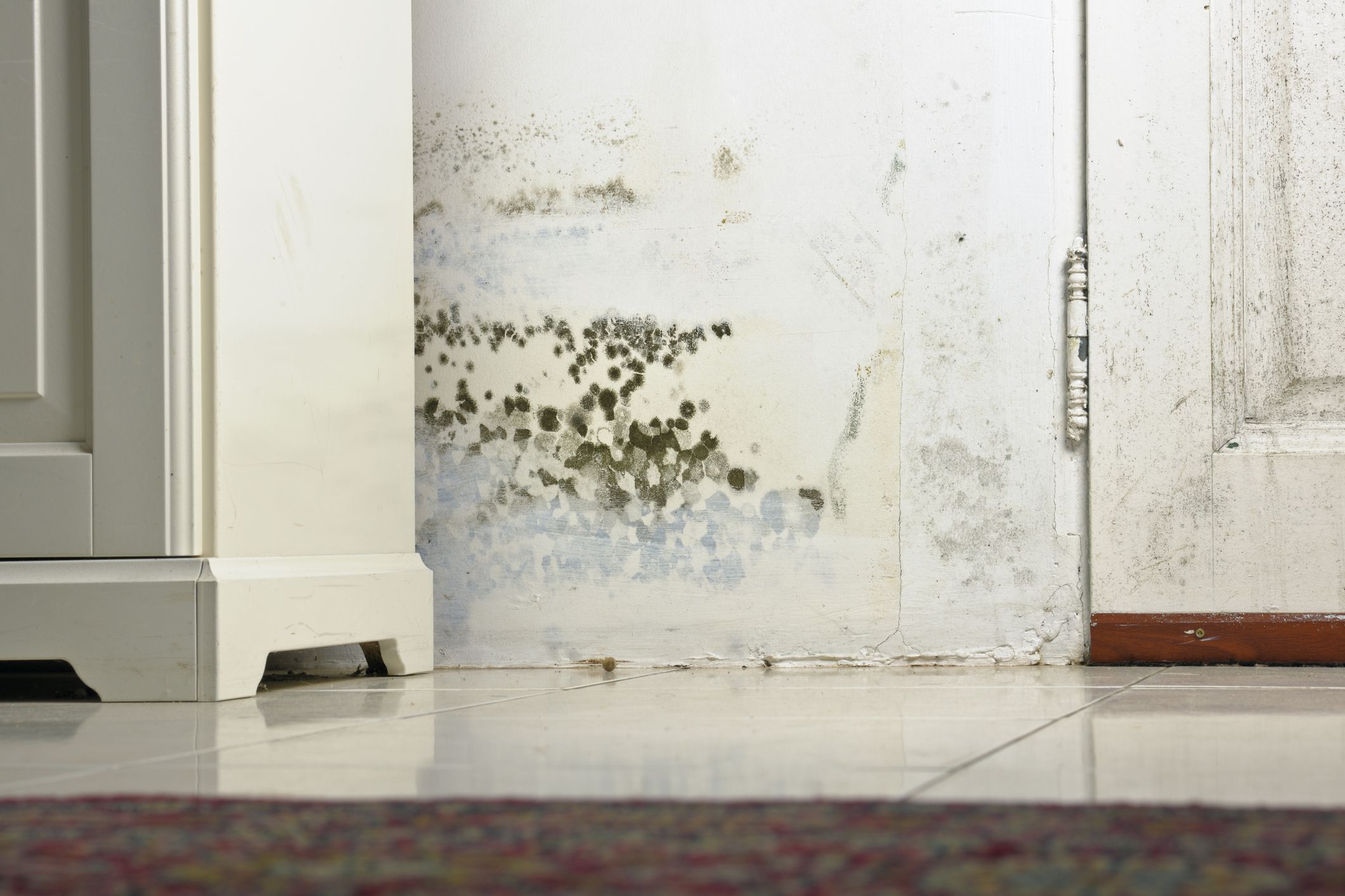 How to Get Rid of Black Mold With Common Household Cleaners