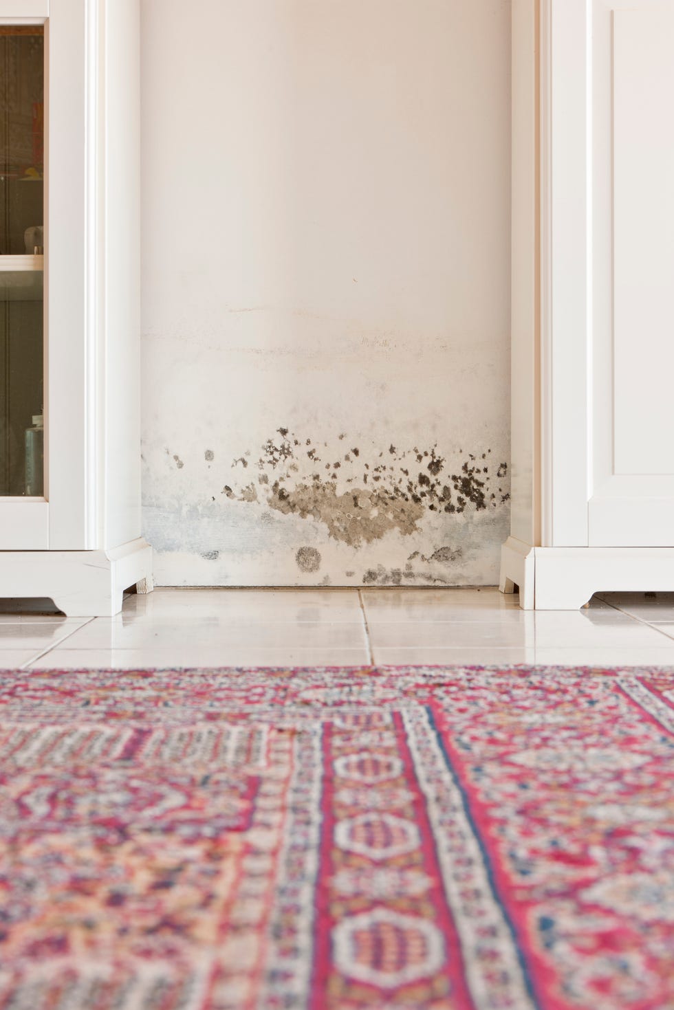 mold mould stains on damp wall between cabinets
