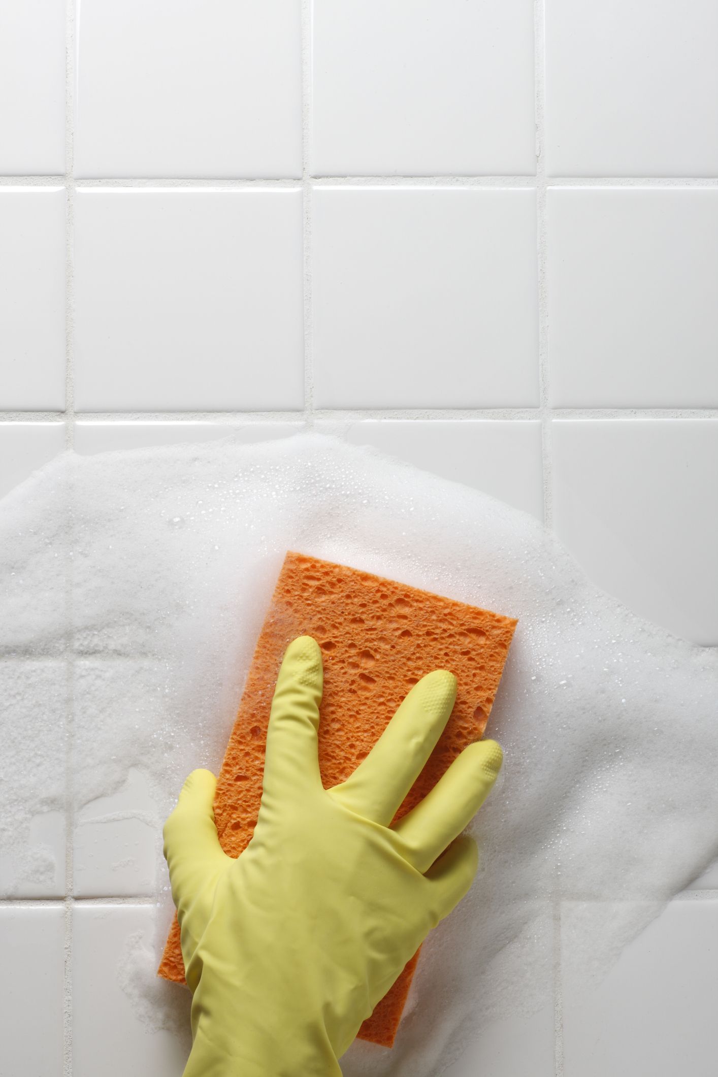 Mold Vs. Mildew: How To Identify And Treat Mold And Mildew In Your Home