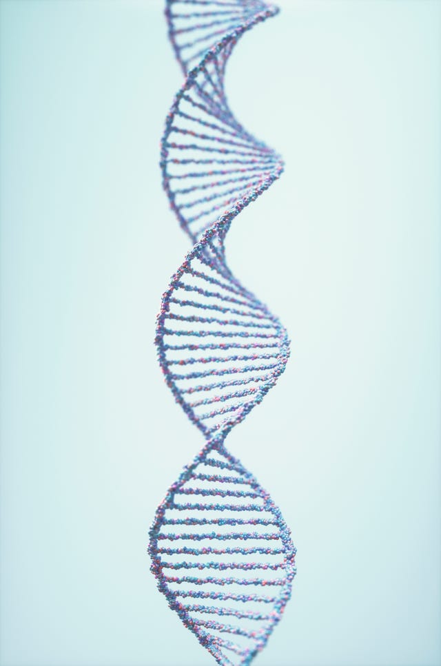 dna molecule, illustration