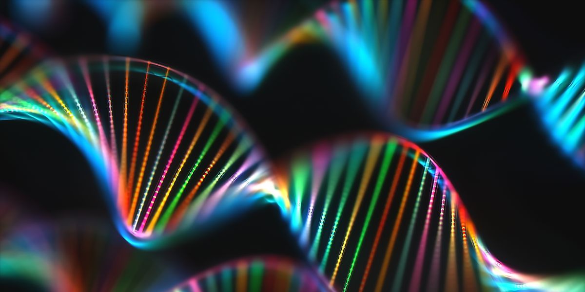 Il Segreto di Bellezza delle Star: Creme al DNA di Salmone che Rivoluzionano la Pelle