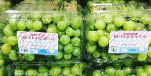 containers of green cotton candy grapes from molina