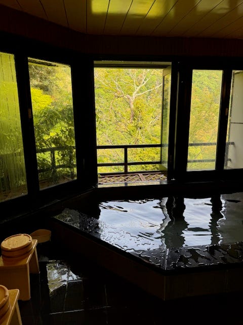indoor hot spring with large glass windows overlooking greenery
