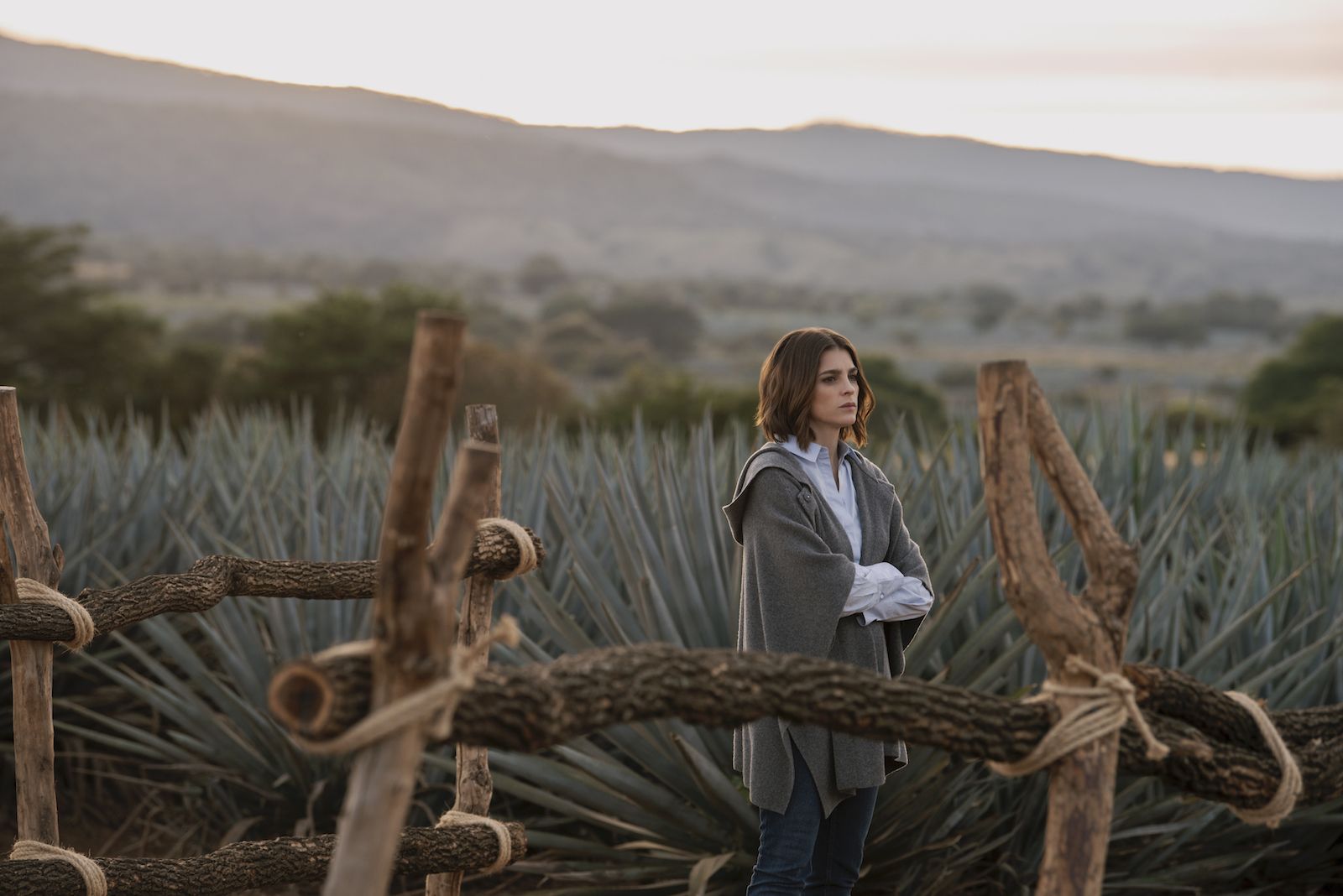 The Best Spanish-Language Series and Shows to Watch on Netflix 2022