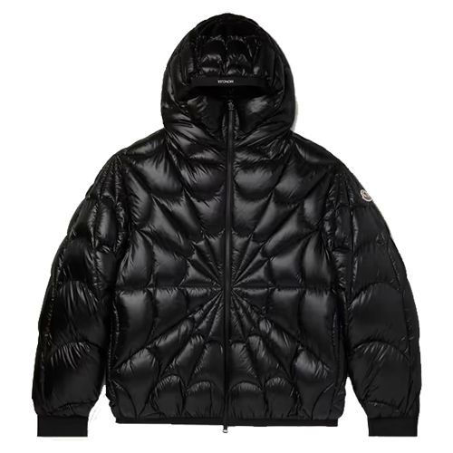 Louis Vuitton monogram boyhood puffer jacket I need this asap