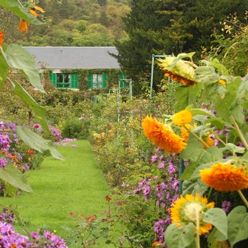 monet's garden in giverny