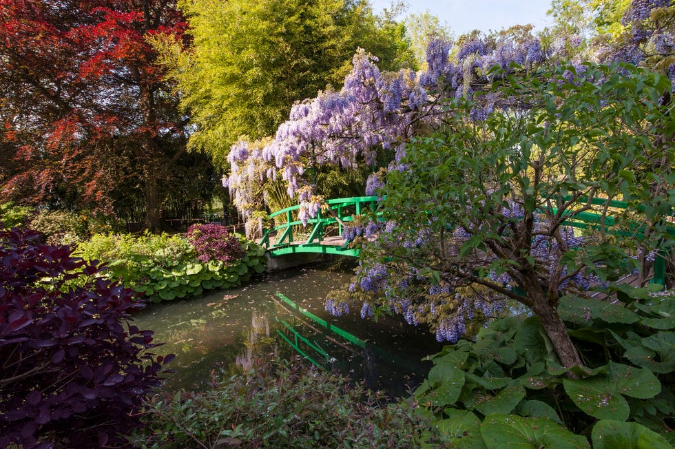 monet's garden in giverny, normandy