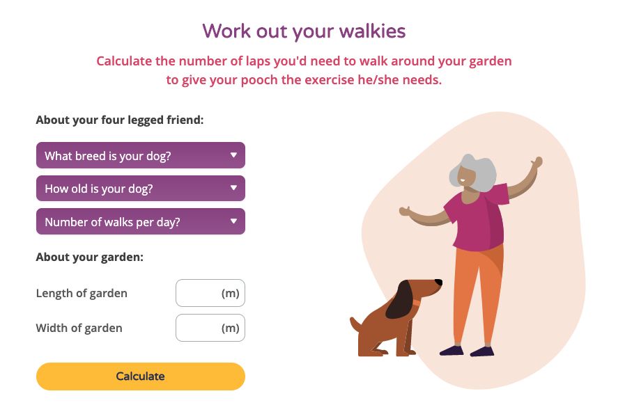 How Much Exercise Does My Dog Need Calculator - Get It Right