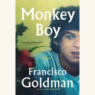 monkey boy, francisco goldman