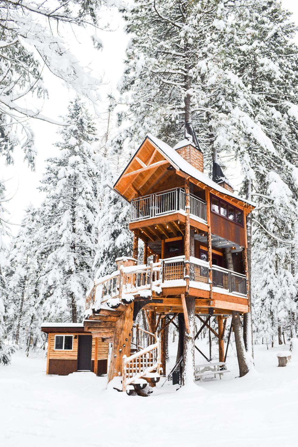 montana treehouse retreat