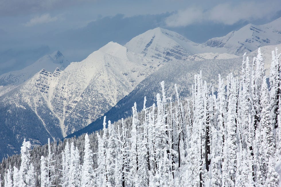 15+ Beautiful Photos of Winter