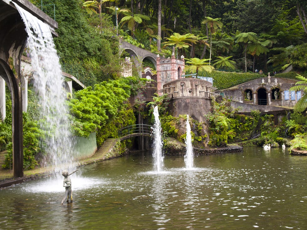 Holidays in Madeira